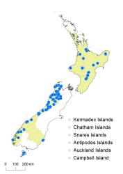Hymenophyllum rufescens distribution map based on databased records at AK, CHR, OTA and WELT. 
 Image: K. Boardman © Landcare Research 2016 CC BY 3.0 NZ